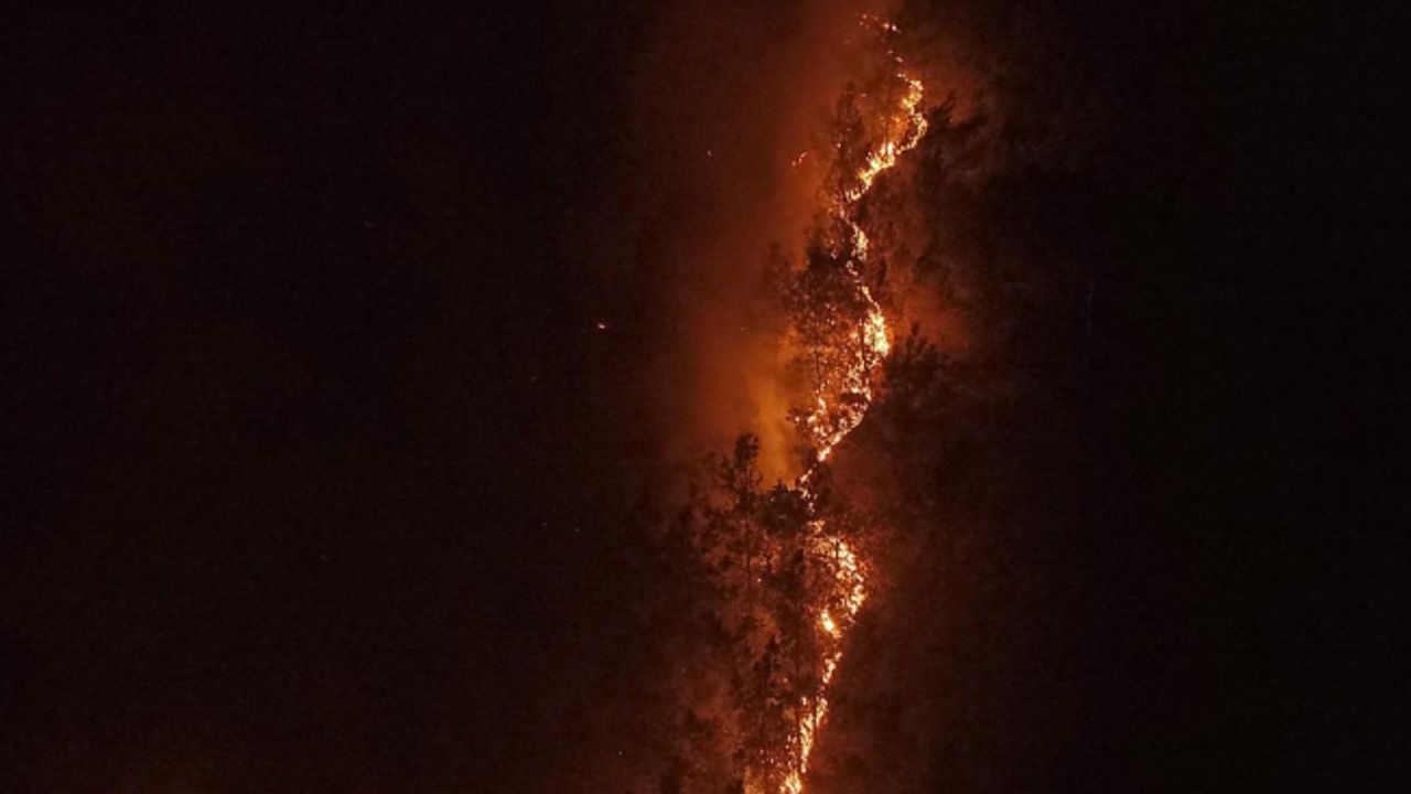 Karabük'teki orman yangını sürüyor