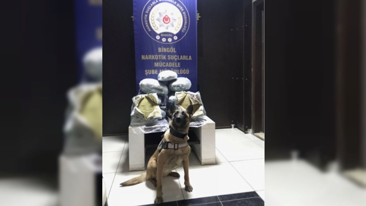 Bingöl'de 59 kilogram toz esrar ele geçirildi