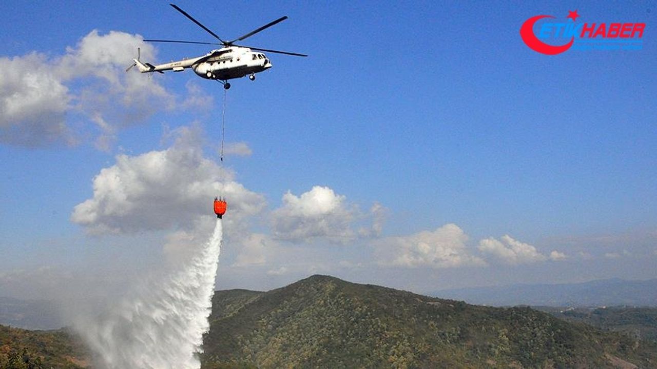 Zonguldak'ta orman yangını