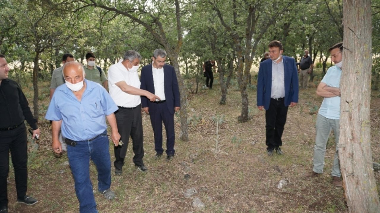 Yunanların 99 yıl önce katlettiği 83 Türk’ün mezar yerleri bulundu