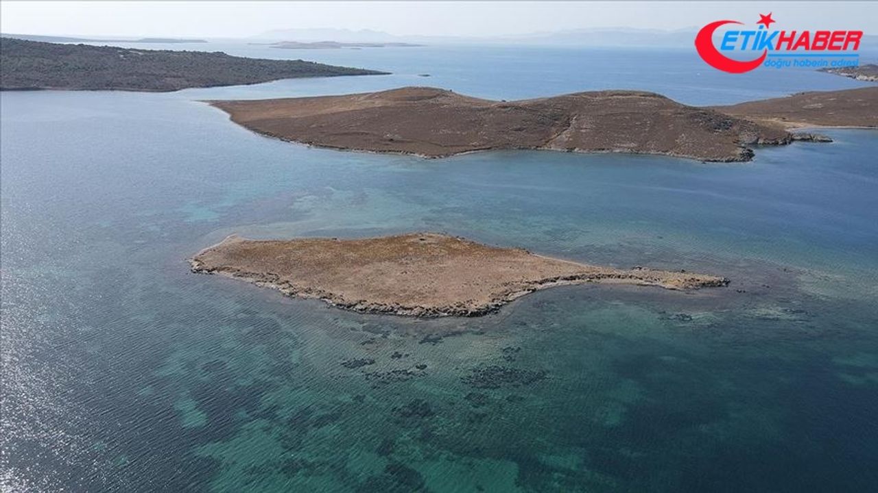 Taşlı Ada'nın 'kesin korunacak hassas alan' ilan edilmesi memnuniyetle karşılandı