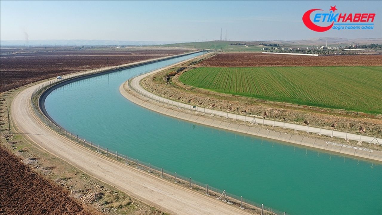 'GAP'ın başkenti' Şanlıurfa'da yağışlar çiftçileri sevindirdi