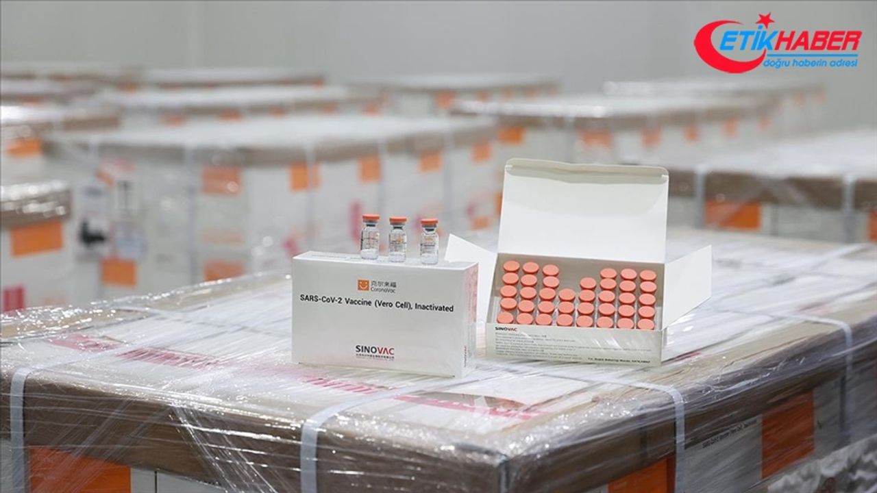 İnaktif aşıların 6,5 milyon dozu yarın sabah Türkiye'de olacak