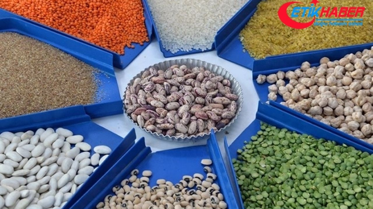 Hububat, bakliyat ve yağlı tohumlarda yıllık ihracat 8 milyar doları aştı