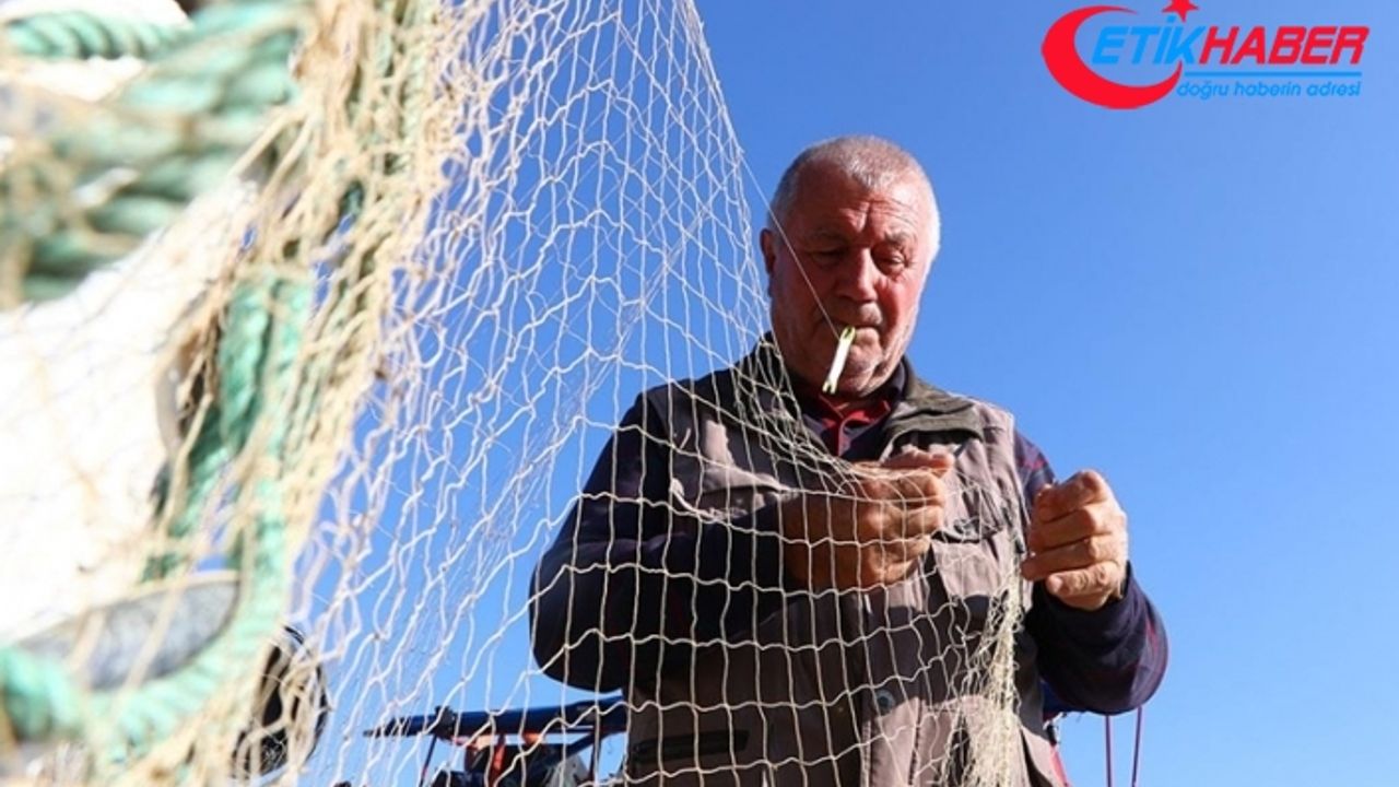 Marmara'da balıkçıların ağında palamudun yerini lüfer aldı
