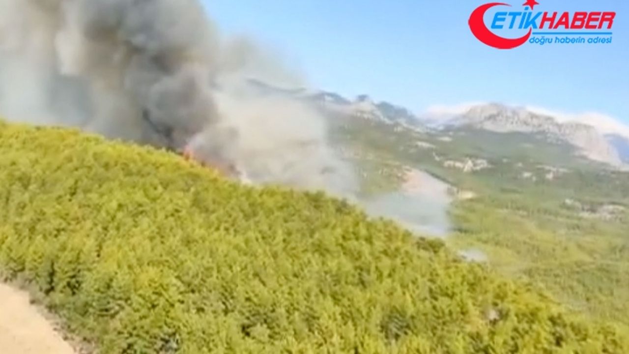 Antalya'da çıkan orman yangını kontrol altına alındı