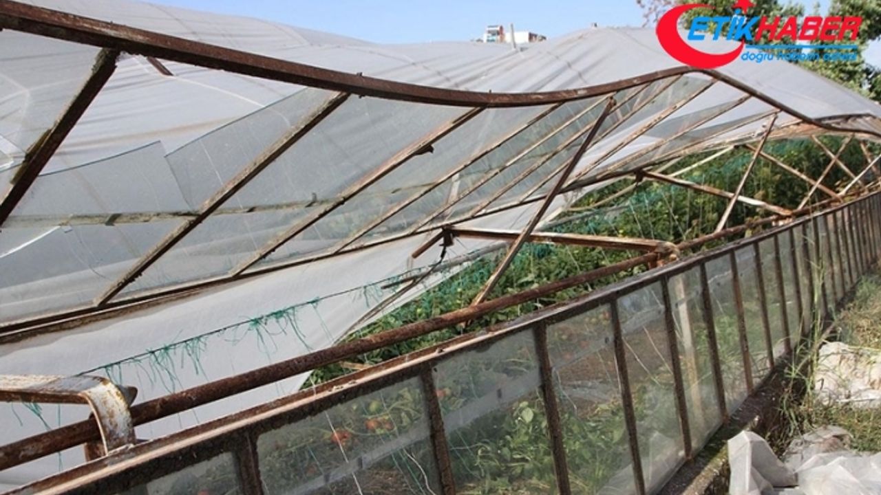 Antalya'da selden etkilenen sera ve tarım arazilerinde hasar tespiti yapılıyor