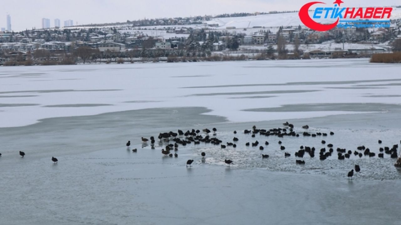 Ankara'da Mogan Gölü'nün yüzeyi dondu