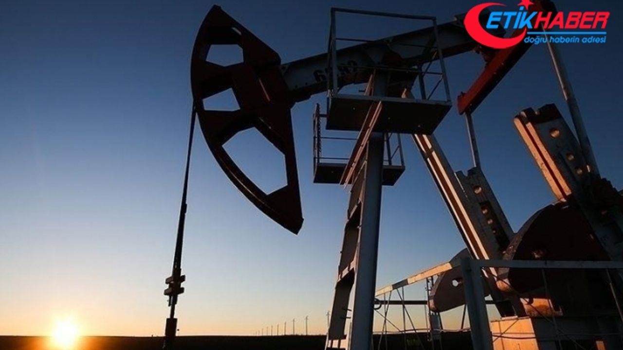 Brent petrolün varil fiyatı 113,44 dolar