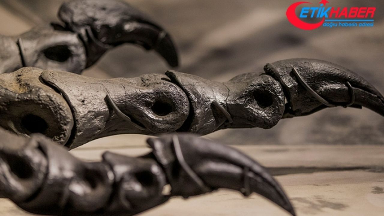 Jurassic Park filmine ilham veren dinozor iskeleti, 12,4 milyon dolara satıldı