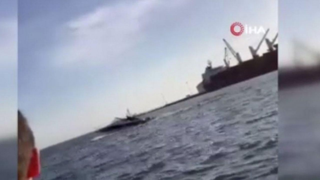 Meksika’da sudan sıçrayan balina tekneye çarptı: 2 yaralı