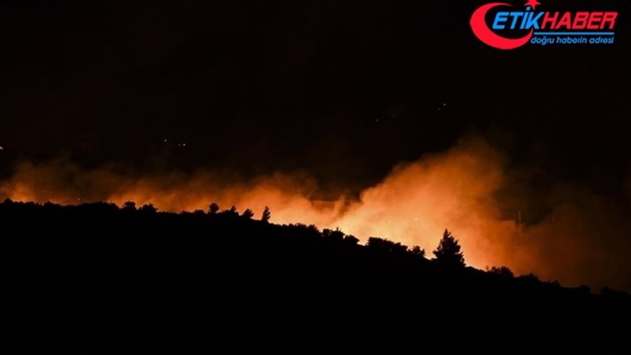 Atina yakınlarındaki orman yangınında çok sayıda ev zarar gördü