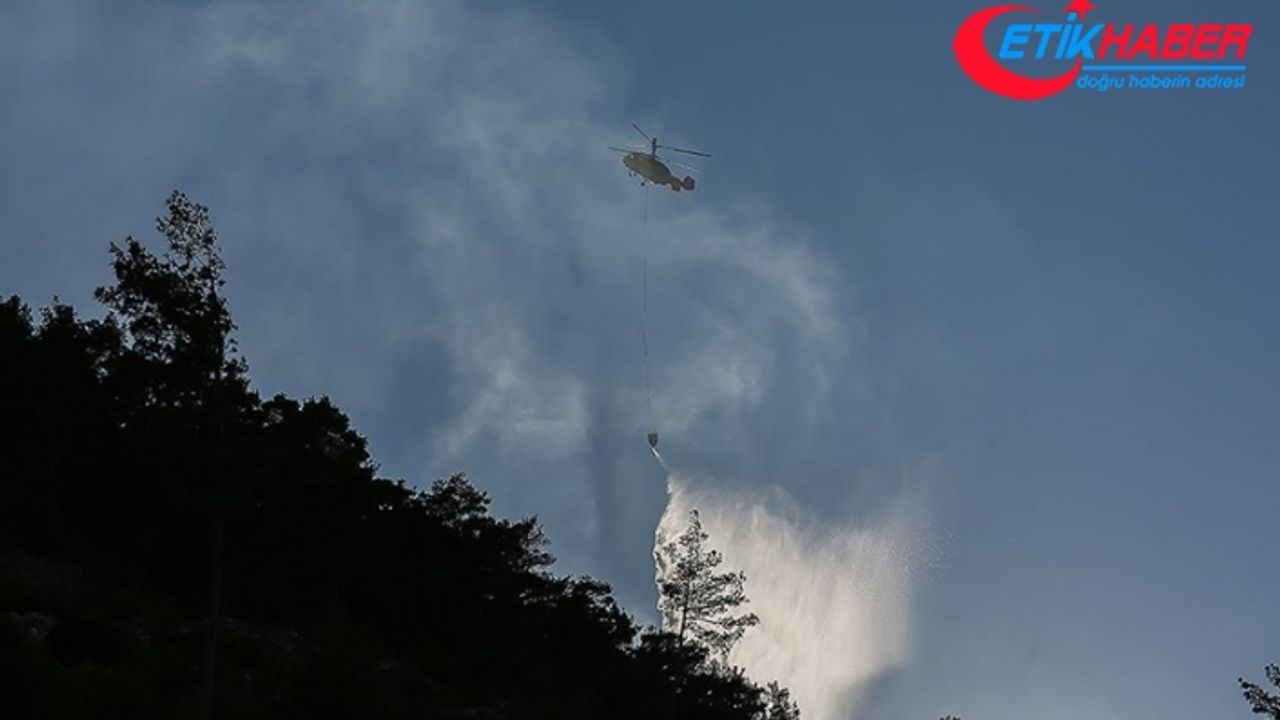 İzmir'in Ödemiş ilçesinde çıkan orman yangını kontrol altına alındı