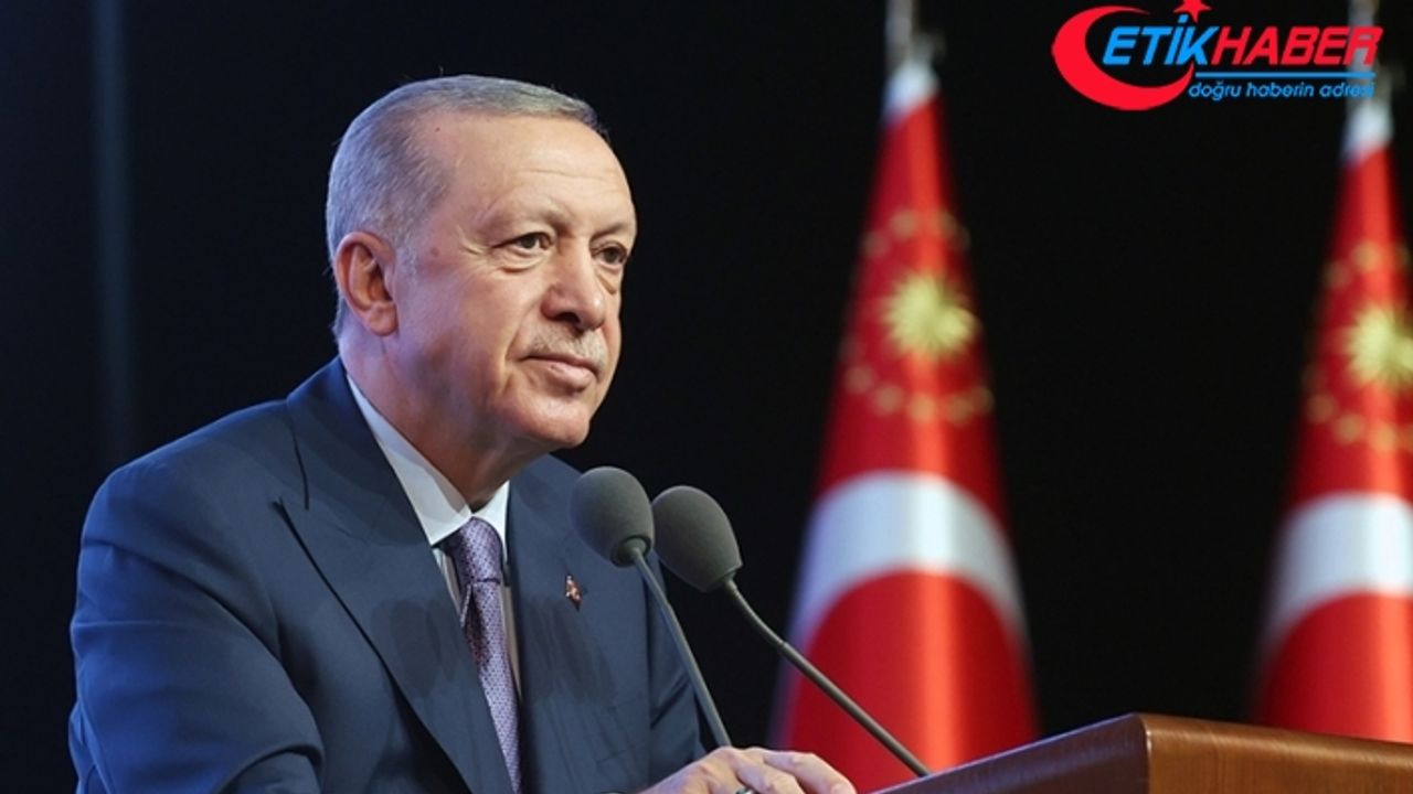Cumhurbaşkanı Erdoğan'ın son bir aylık kritik diplomasi trafiği