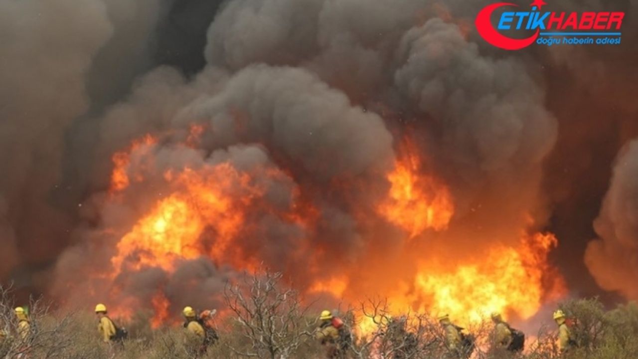 California’da orman yangınları sürüyor