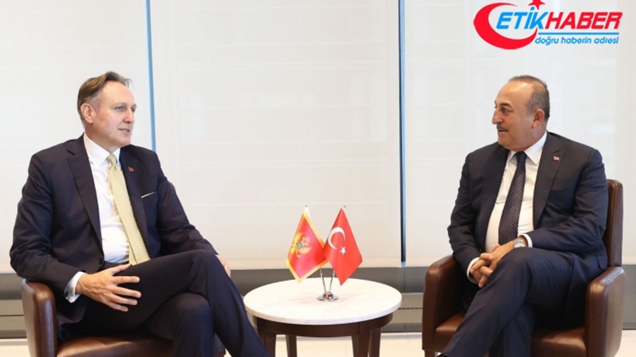 Dışişleri Bakanı Çavuşoğlu, Karadağlı mevkidaşı Krivokapic ile görüştü