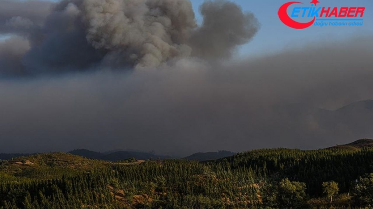 İklim değişikliğinin yol açtığı orman yangınları hava kalitesini düşürecek