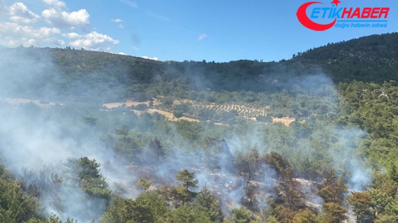 İzmir Bergama'da çıkan orman yangınına müdahale ediliyor