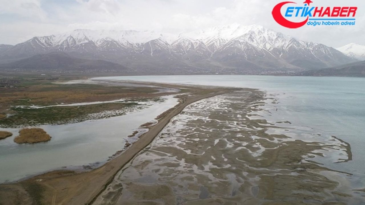 Bahardaki yağışlara rağmen Van Gölü'ndeki çekilme devam ediyor