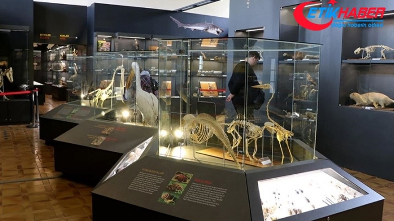 Edirne'deki müzelerde bu yıl 2 milyon ziyaretçi hedefi