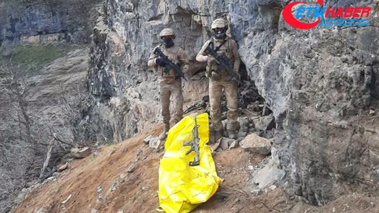 Turuncu kategoride aranan PKK'lı terörist Hakkari'de etkisiz hale getirildi