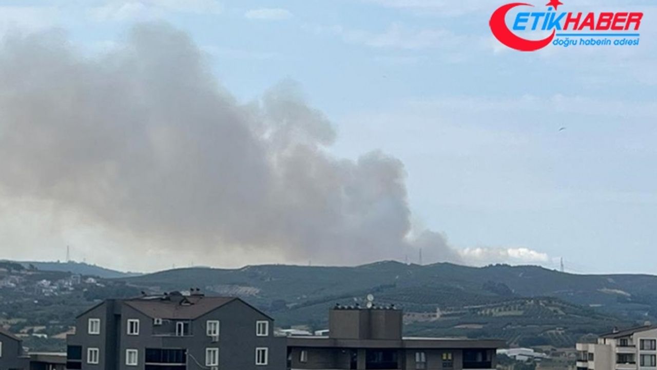 Bursa'da çıkan orman yangınına müdahale ediliyor