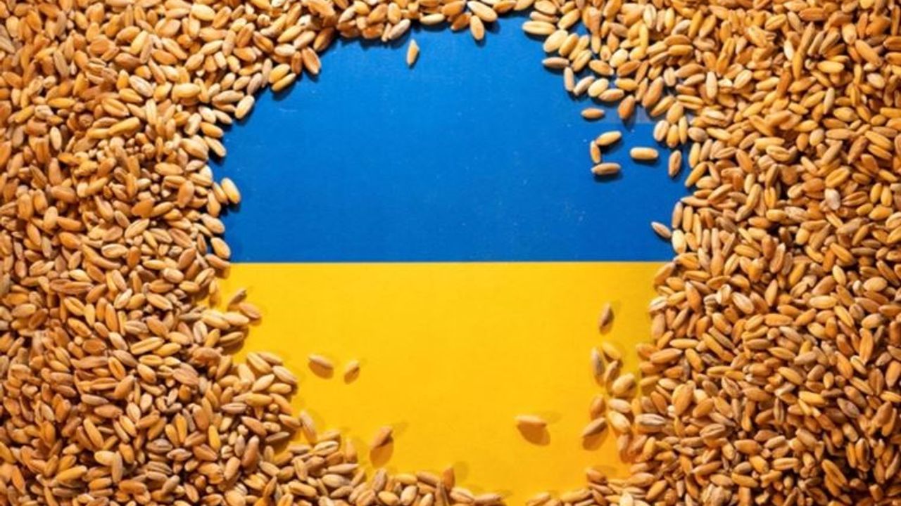 Ukrayna, tarım ürünleri ithalatını yasaklayan Polonya, Slovakya ve Macaristan'a dava açtı