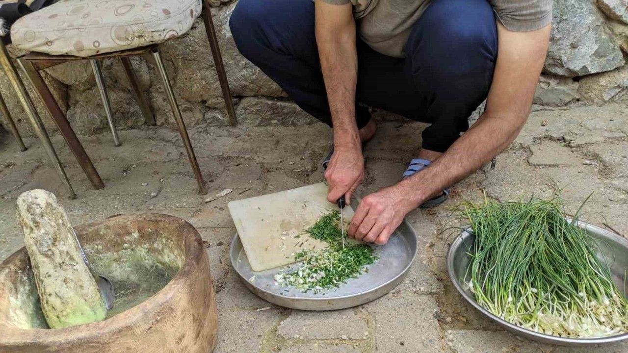 Dağdan toplanıyor, kilosu 10 bin TL’ye satılıyor