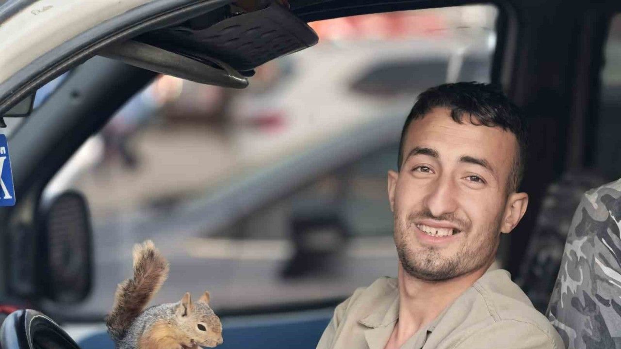 Eliyle beslediği sincap, peşini bırakmadı