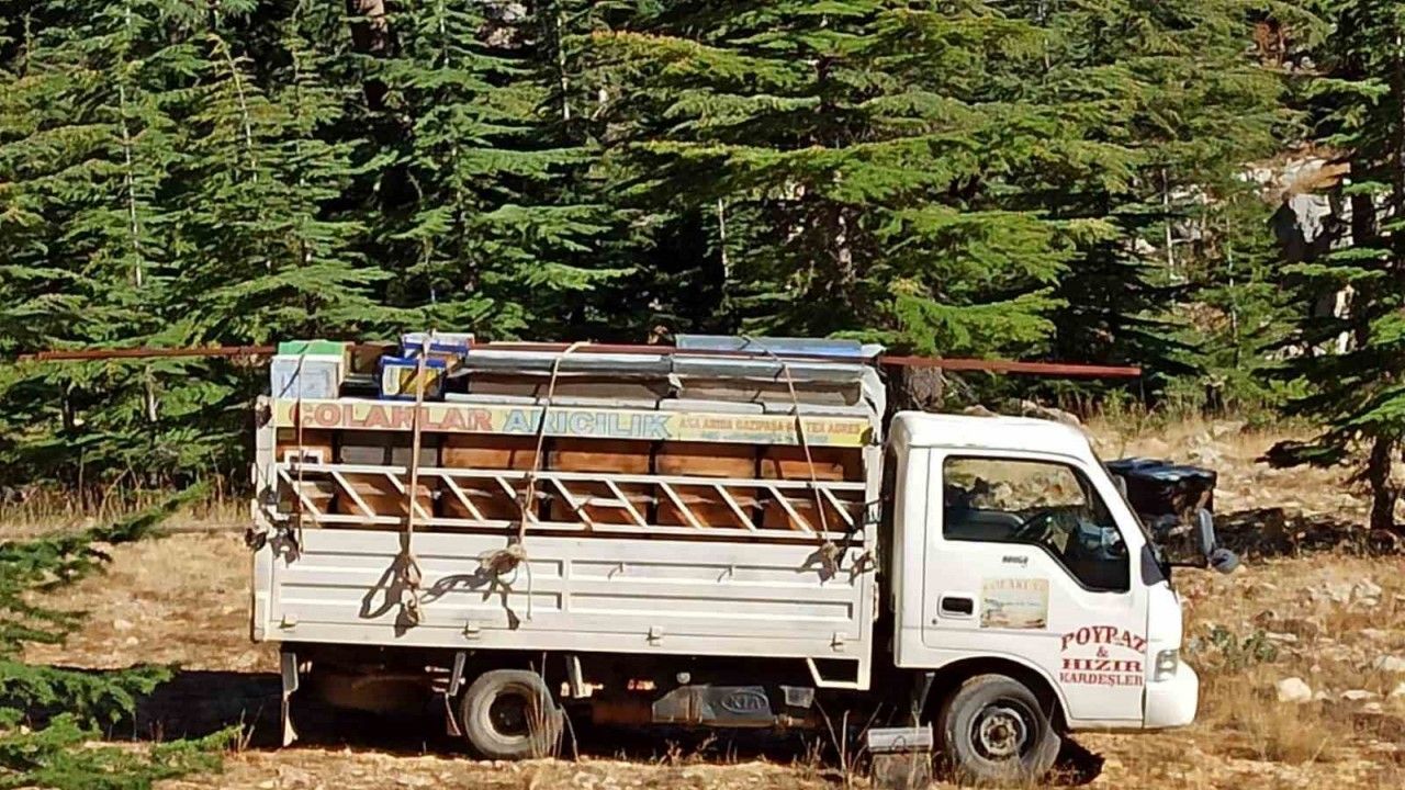 Gazipaşa’da arıcıların yayla mesaisi başlıyor