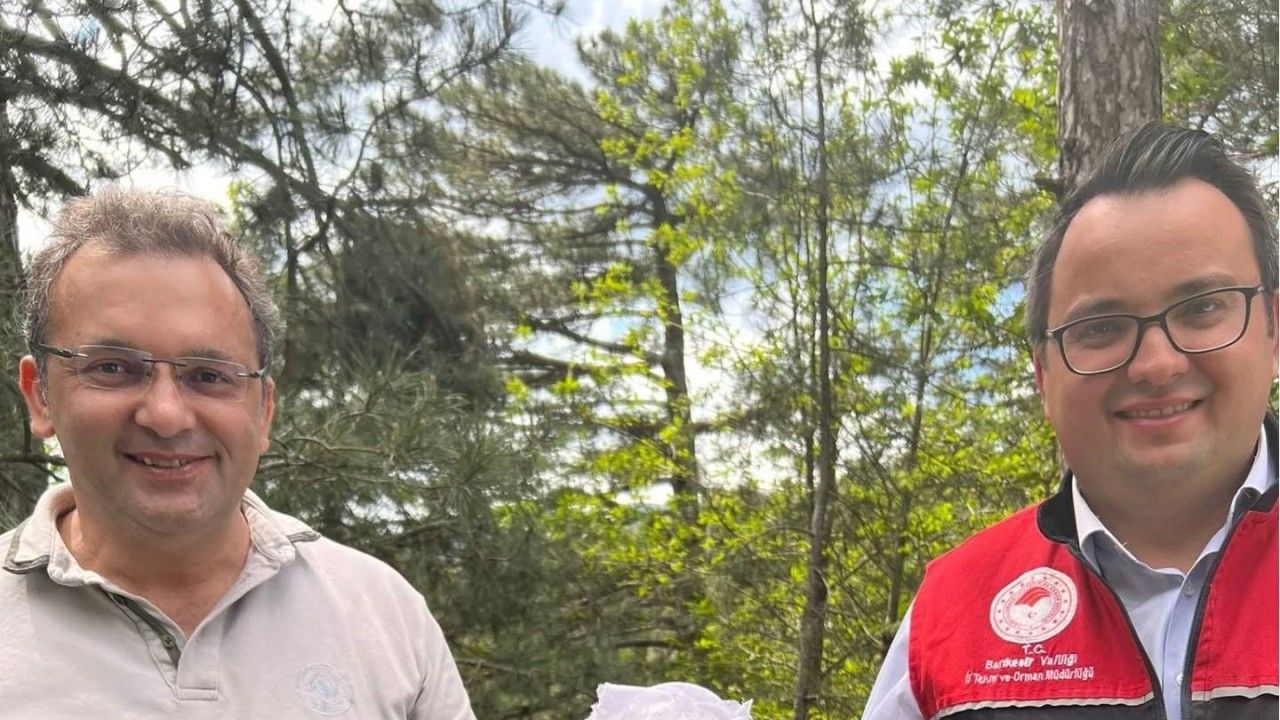 Kazdağları’nda kestane gal arısı zararlısına karşı biyolojik savaş
