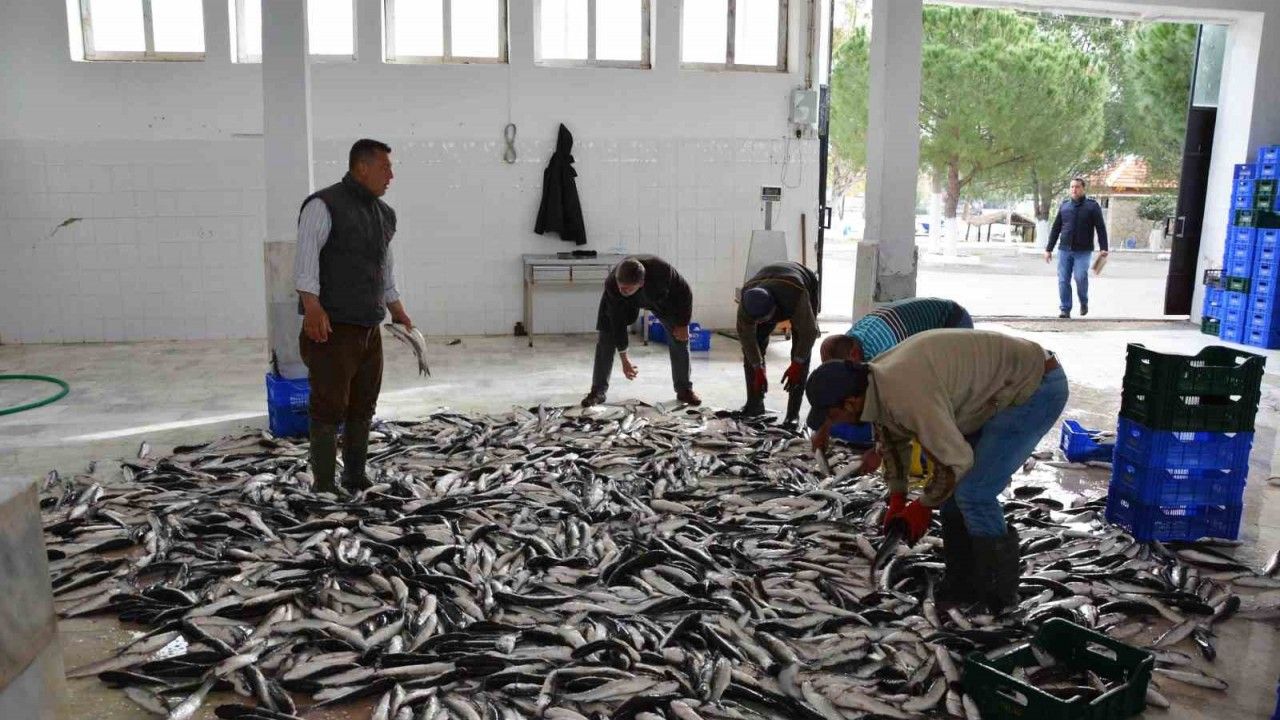 Muğla’nın su ürünleri ihracatı 1 milyar dolara yaklaştı