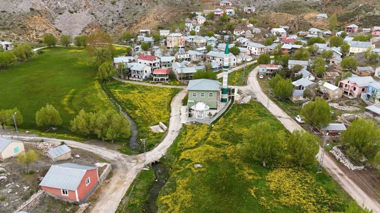 Orta Toroslardaki yaylalar görsel şölen sunuyor