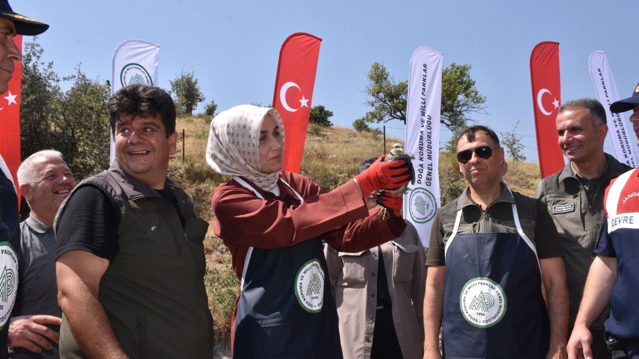Afyonkarahisar'da 1000 kınalı keklik doğaya bırakıldı