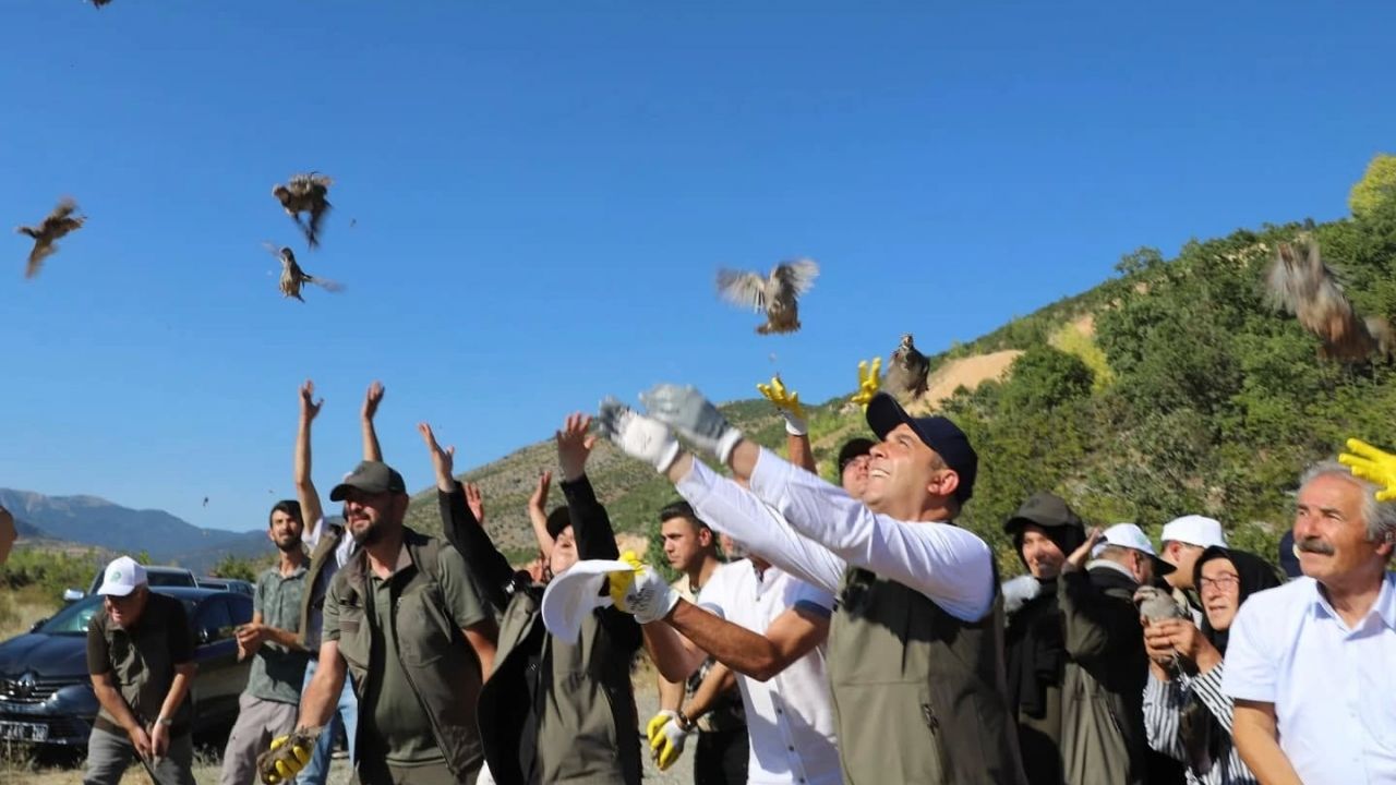Çankırı'da 600 kınalı keklik doğaya bırakıldı