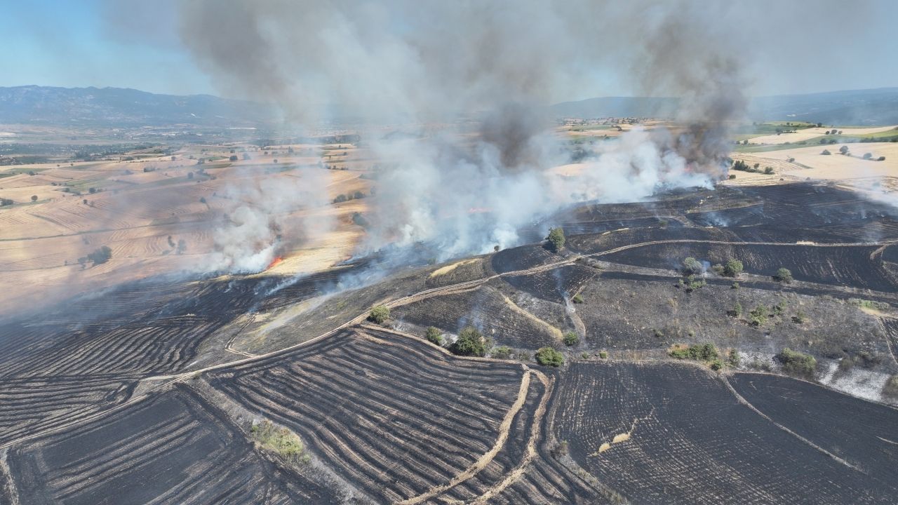 Tokat'ta çıkan yangında yaklaşık 250 dekar buğday ekili alan yandı