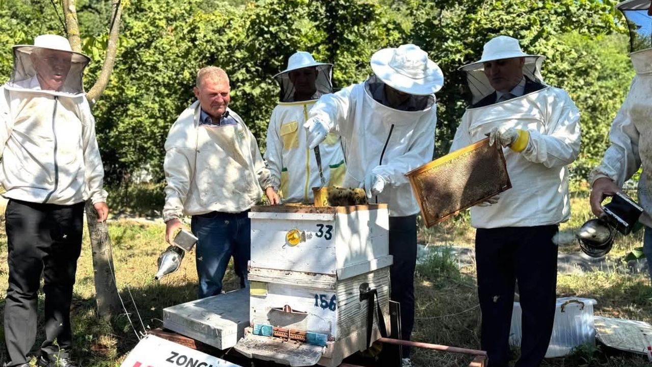 Kestane balı hasadı Çaycuma’da gerçekleştirildi