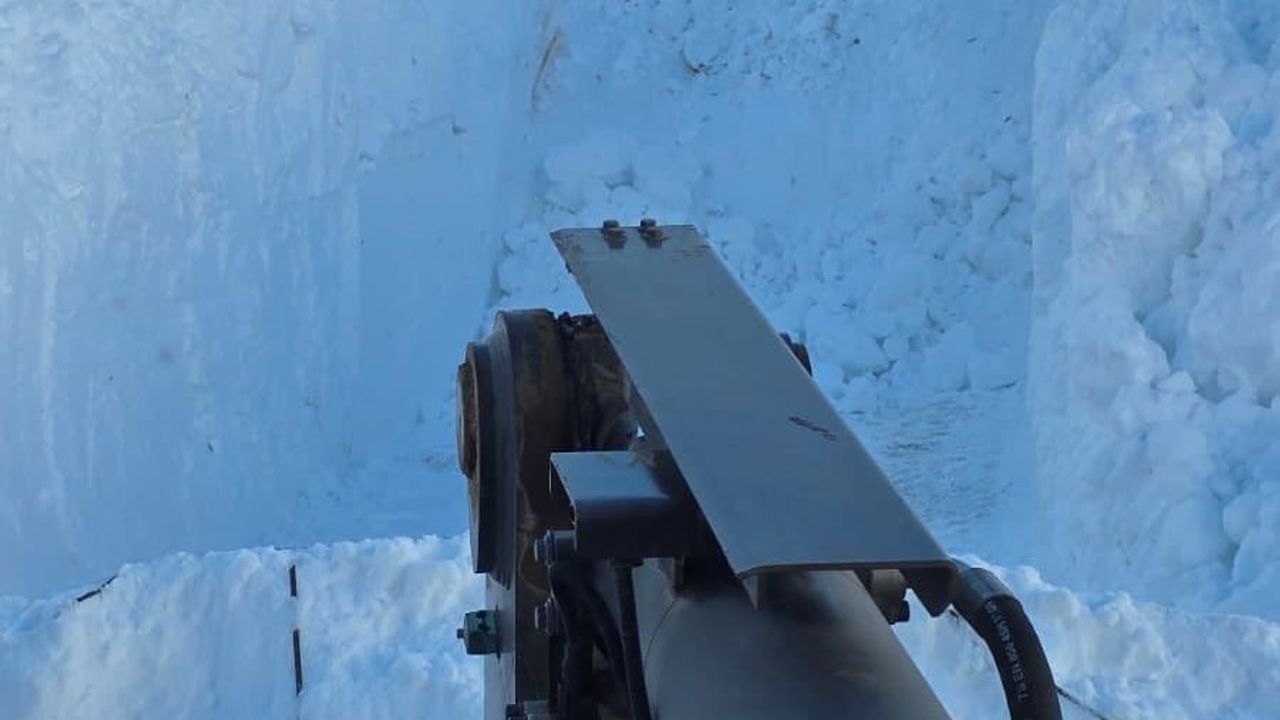 Bitlis'te köy yolları tek tek açılıyor