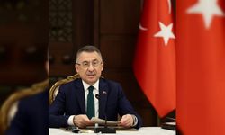 Cumhurbaşkanı Yardımcısı Oktay, Anadolu Ajansı Çevre Forumu'nda konuştu: