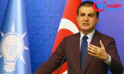AK Parti Sözcüsü Çelik'ten “TSK'nın kimyasal silah kullandığı“ iddialarına ilişkin açıklama: