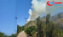 Muğla'da ormanlık alanda çıkan yangın söndürüldü