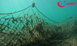Hayalet ağların endemik deniz canlılarına verdiği zarar akademik çalışmayla ortaya çıktı