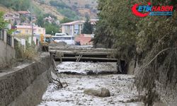 Erzincan ile Iğdır'da sağanak sonucu taşkınlar ve sel meydana geldi