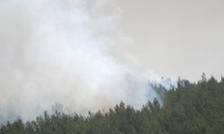 MSB, İzmir Gaziemir'deki yangın söndürme çalışmalarına destek için 5 helikopter görevlendirdi