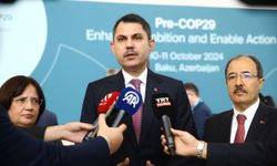 Türkiye, COP 29 sürecinde Azerbaycan'a destek olacak