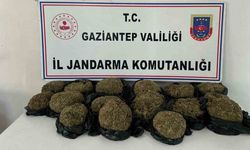 Otobüsün bağajından 18.5 kilo skunk ele geçirildi