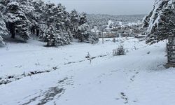 Bitlis ve Sivas'ta kar yağışı etkili oldu