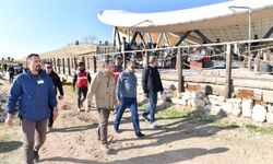 Göbeklitepe'de, 1 milyon ziyaretçi hedefleniyor