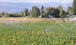 Tarımda bu yıl en büyük yatırım payı sulama projelerine ayrıldı