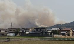 Japonya’daki orman yangınları devam ediyor: 514 hektar alan yandı, 16 bin ev elektriksiz kaldı